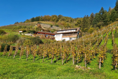 Wandern33_24_13