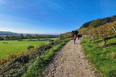 Wandern33_24_30