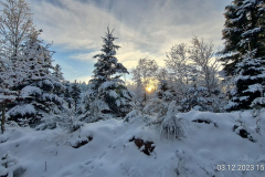 Wandern49_23_02