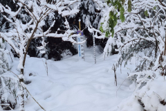 Wandern49_23_03