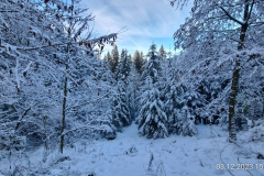 Wandern49_23_04