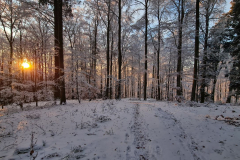 Wandern49_23_21