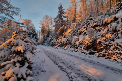 Wandern49_23_22