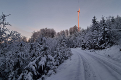 Wandern49_23_23