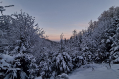 Wandern49_23_24