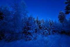 Wandern49_23_35