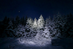 Wandern49_23_44
