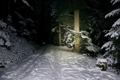 Wandern49_23_46
