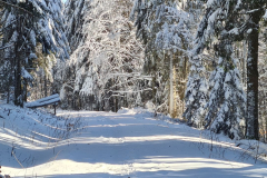 Wandern15_23_19