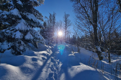 Wandern15_23_26
