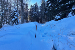 Wandern15_23_31