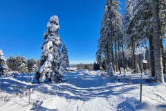Wandern15_23_84