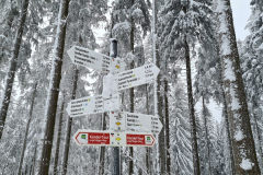 Kandel_26