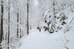 Kandel_29