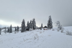 Kandel_56