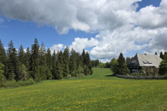 Tour54_26_15