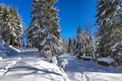 KandelTour_62