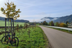Tour-107_25