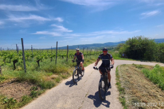 Tour36_05