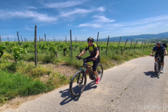 Tour36_08