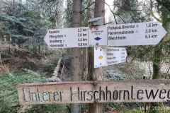 Wandern6_18