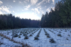 Wandern6_30