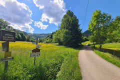 Tour56_25_08