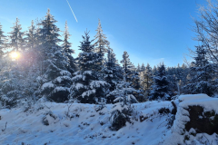 Wandern-58_04