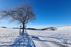 Wandern-58_15