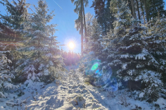 Wandern-58_74