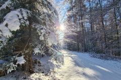 Wandern-58_95b