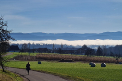 Wandern50_23_11