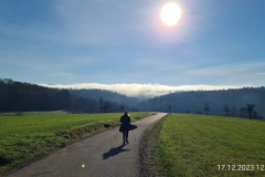 Wandern50_23_12