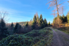Wandern50_23_45