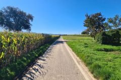 Tour113_25_04