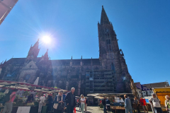 Tour113_25_08