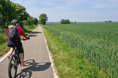 Tour38_23_10