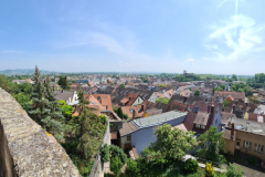 Tour38_23_24