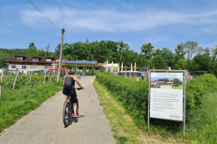 Tour38_23_36