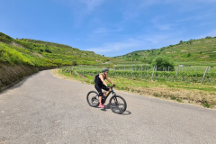 Tour38_23_49