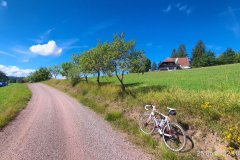 Tour-50_09
