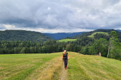 Wandern30_23_11