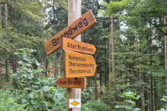 Wandern30_23_12
