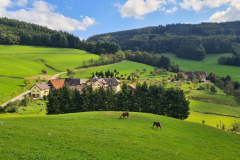 Wandern25_25_20