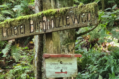 Wandern25_25_28