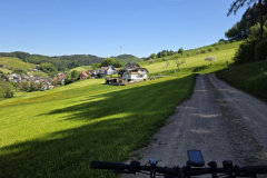 Tour49_26_09