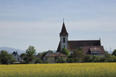 Tour49_26_44