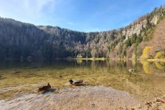 Tour-101_35